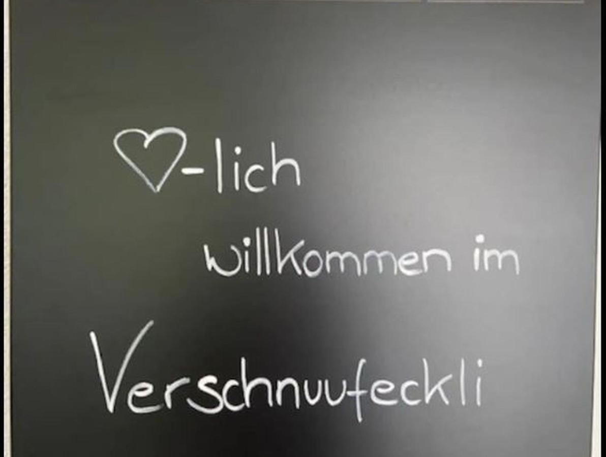 Ferienwohnung Verschnuufeckli Вер Экстерьер фото
